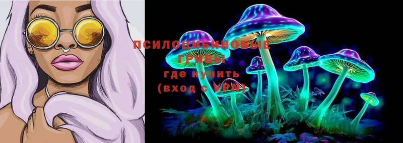 Галлюциногенные грибы Magic Shrooms  Тосно 